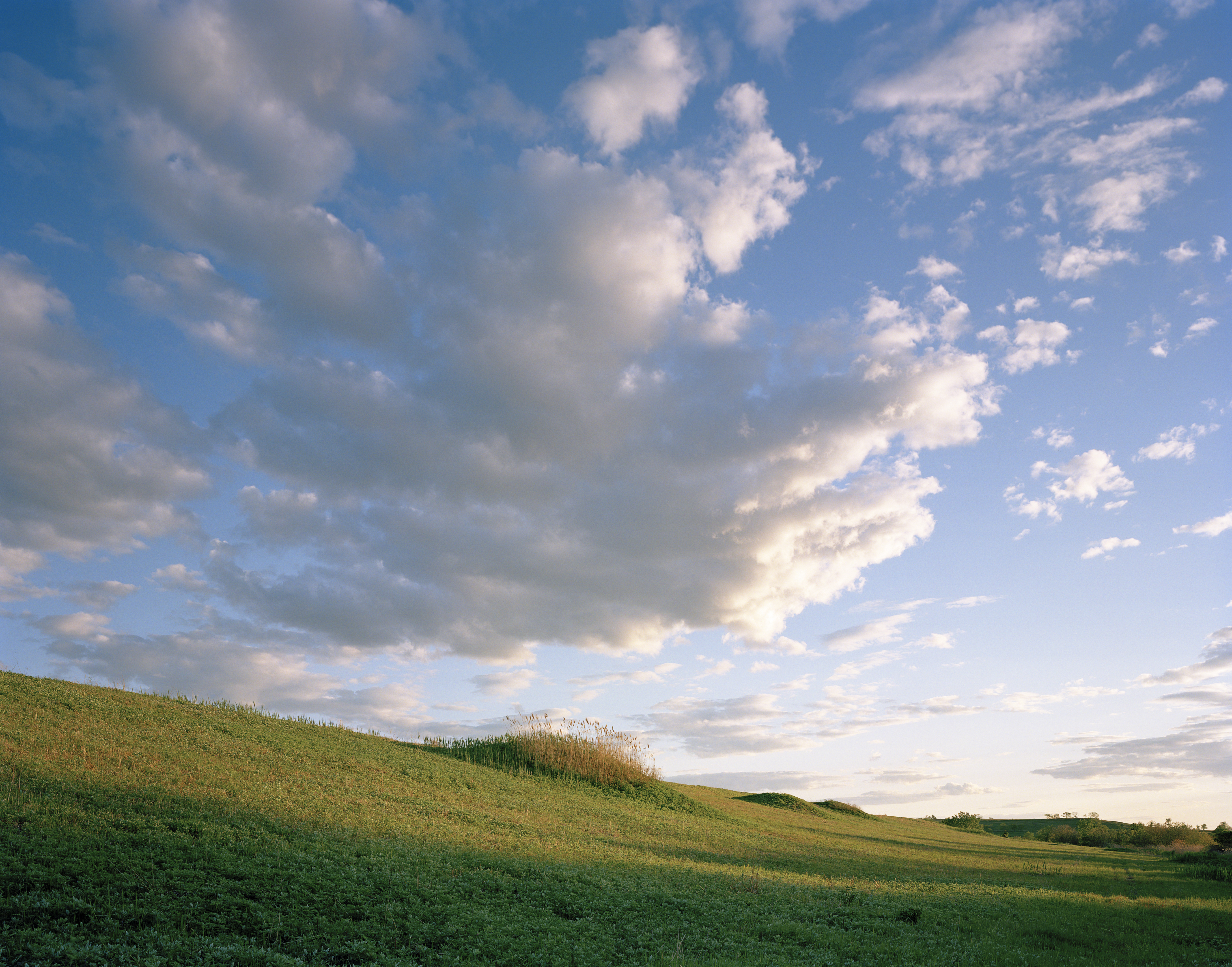 © Jade Doskow East Mound, Undulations (Our Sacred Mounds)