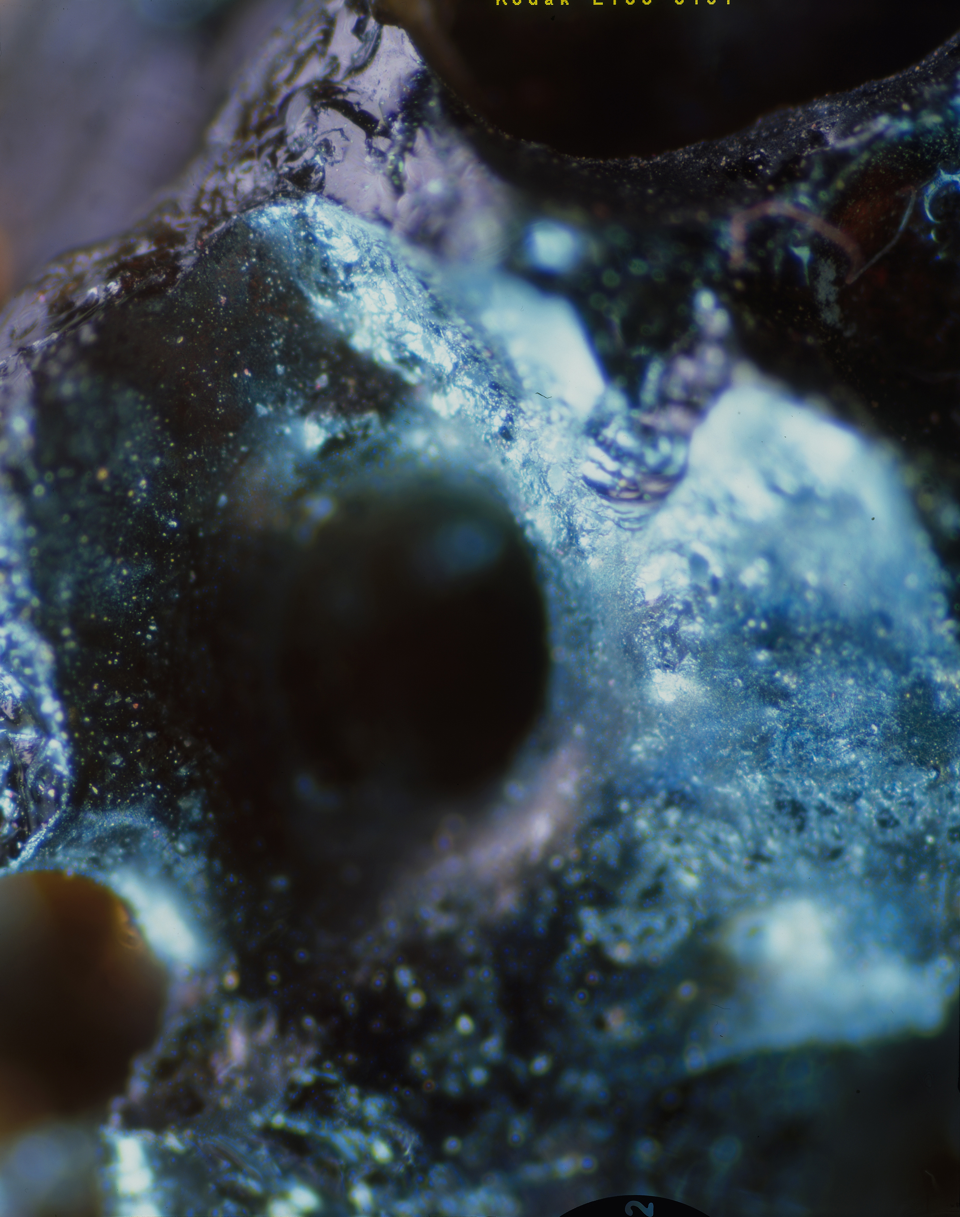 Microscopic lava Image by Brooke Holm