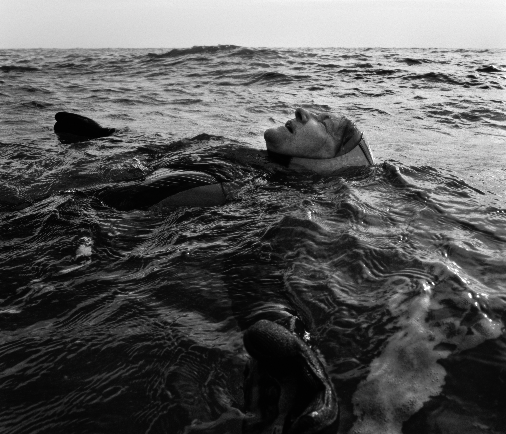 Image: Joao Lutz