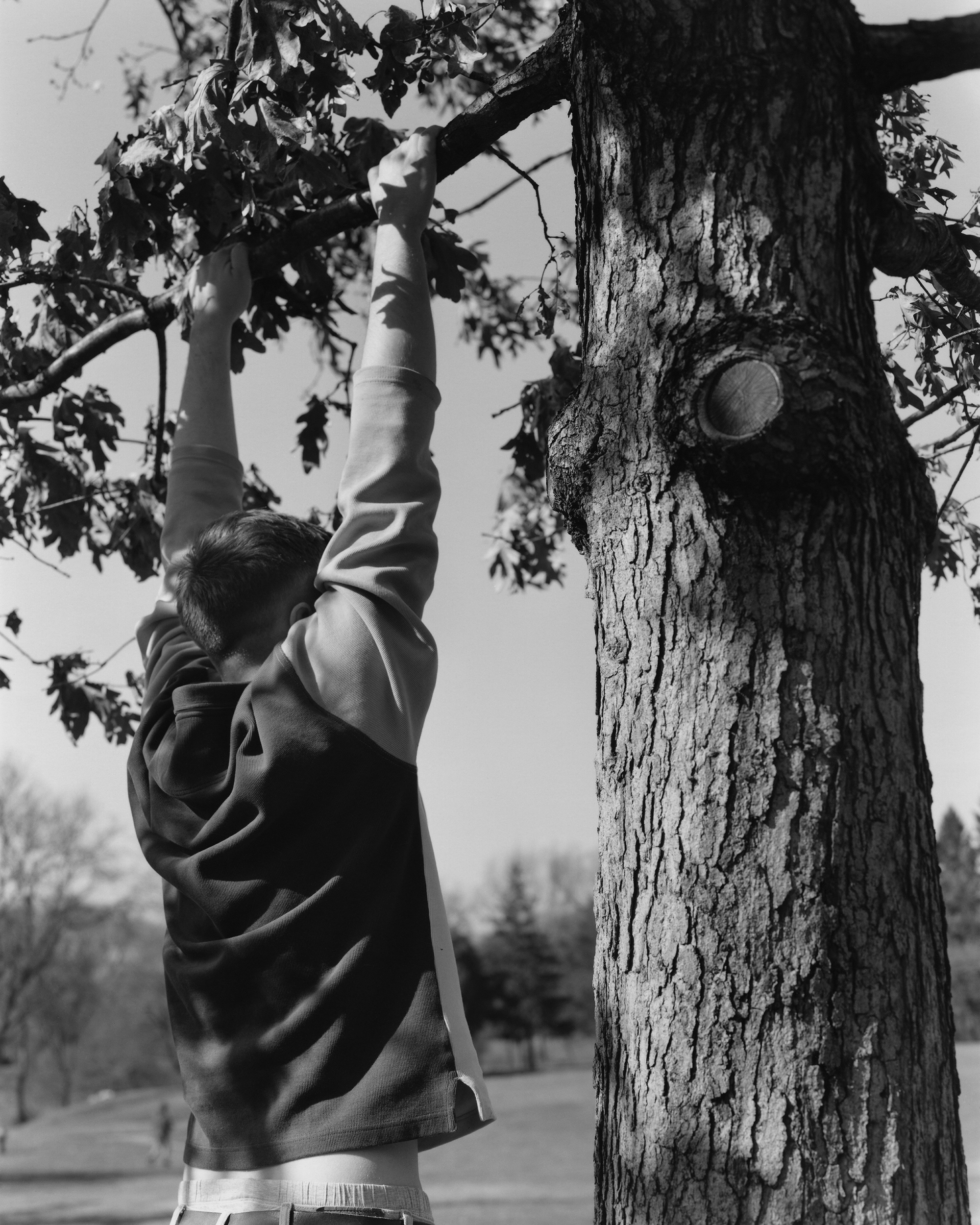 Image credits: Noy Finer 