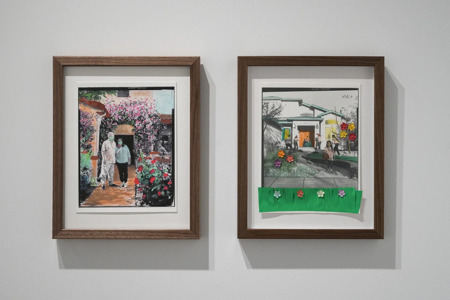 Ashima Yadava's Front Yard 