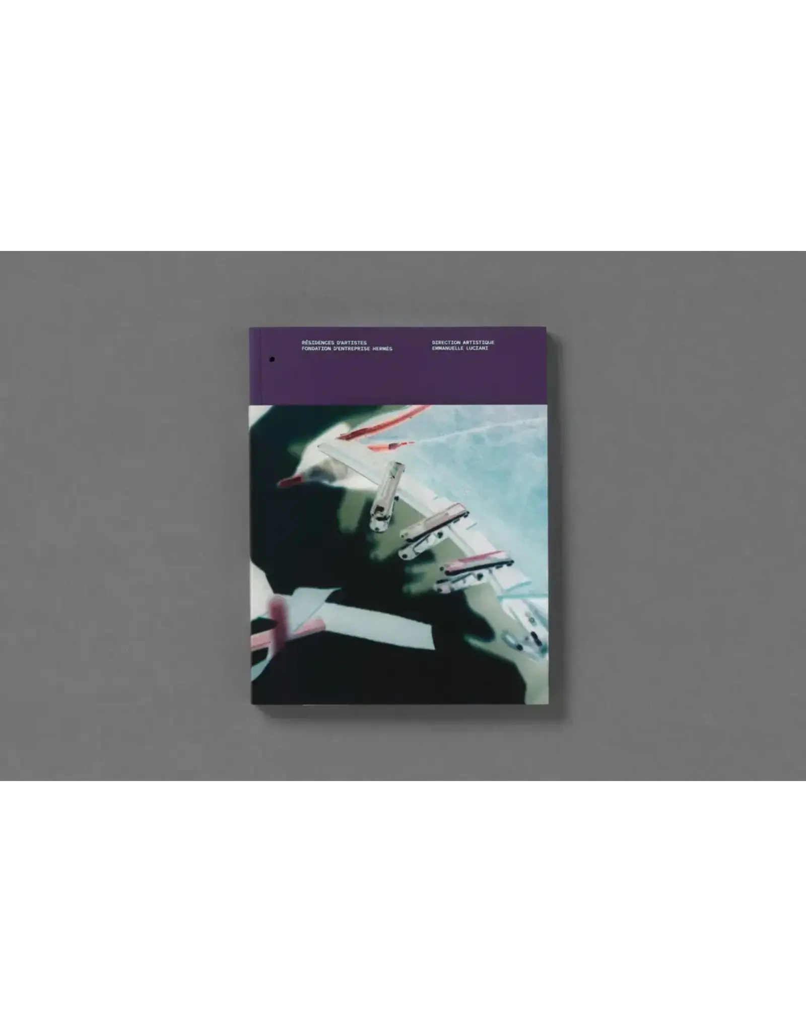 Passé Présent Futur: Emmanuelle Luciani Book