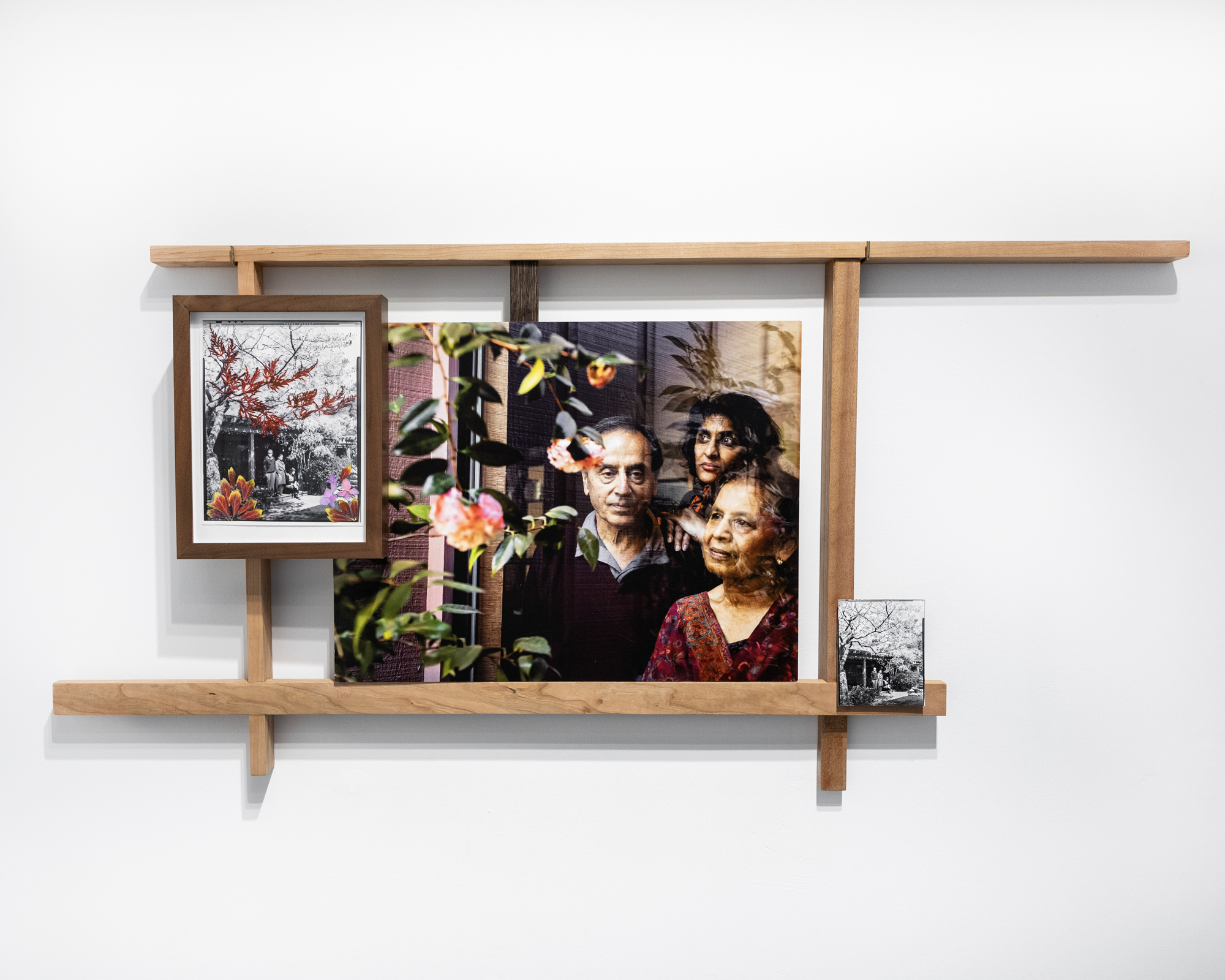 Ashima Yadava's Front Yard 