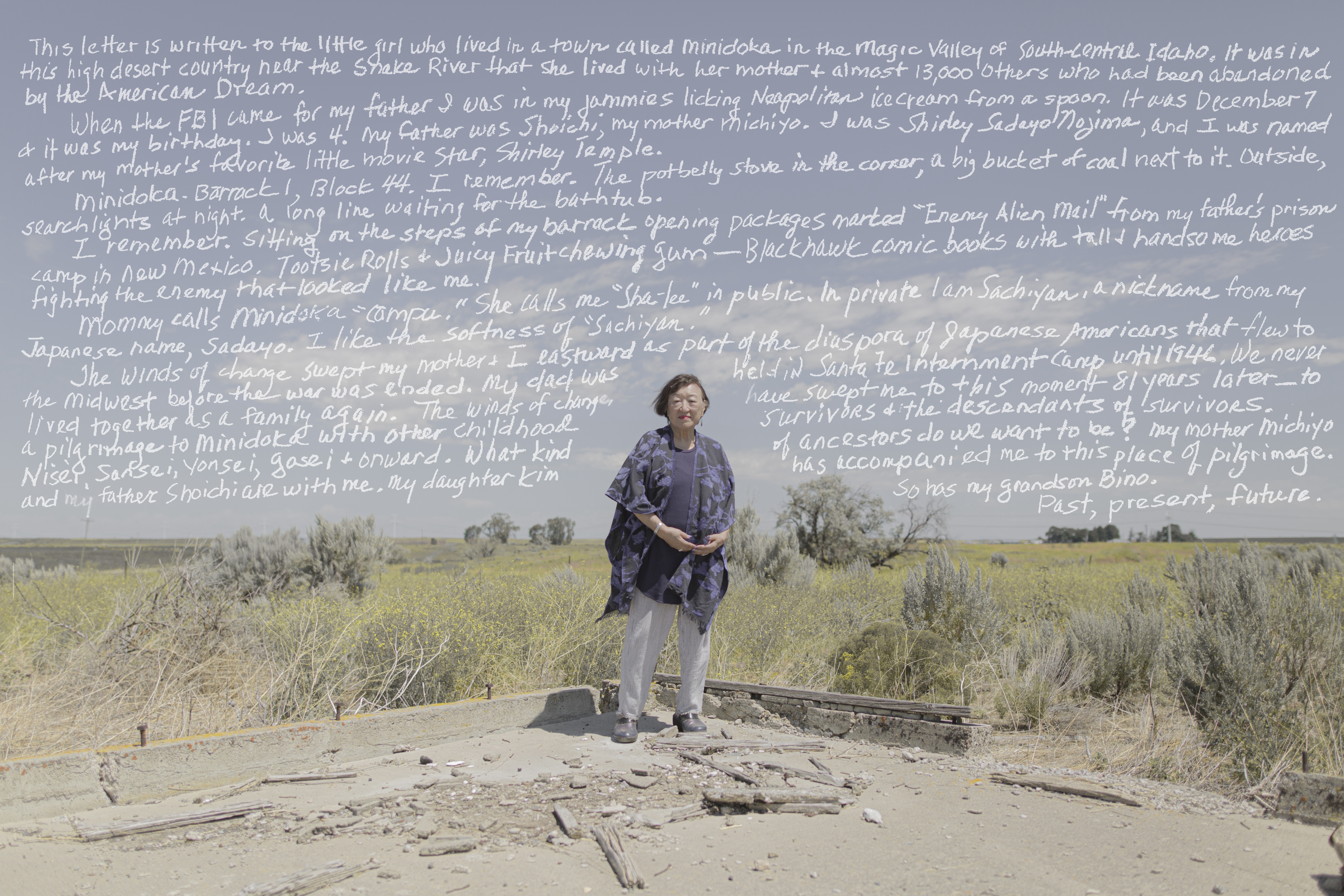 TheCampsAmericaBuilt