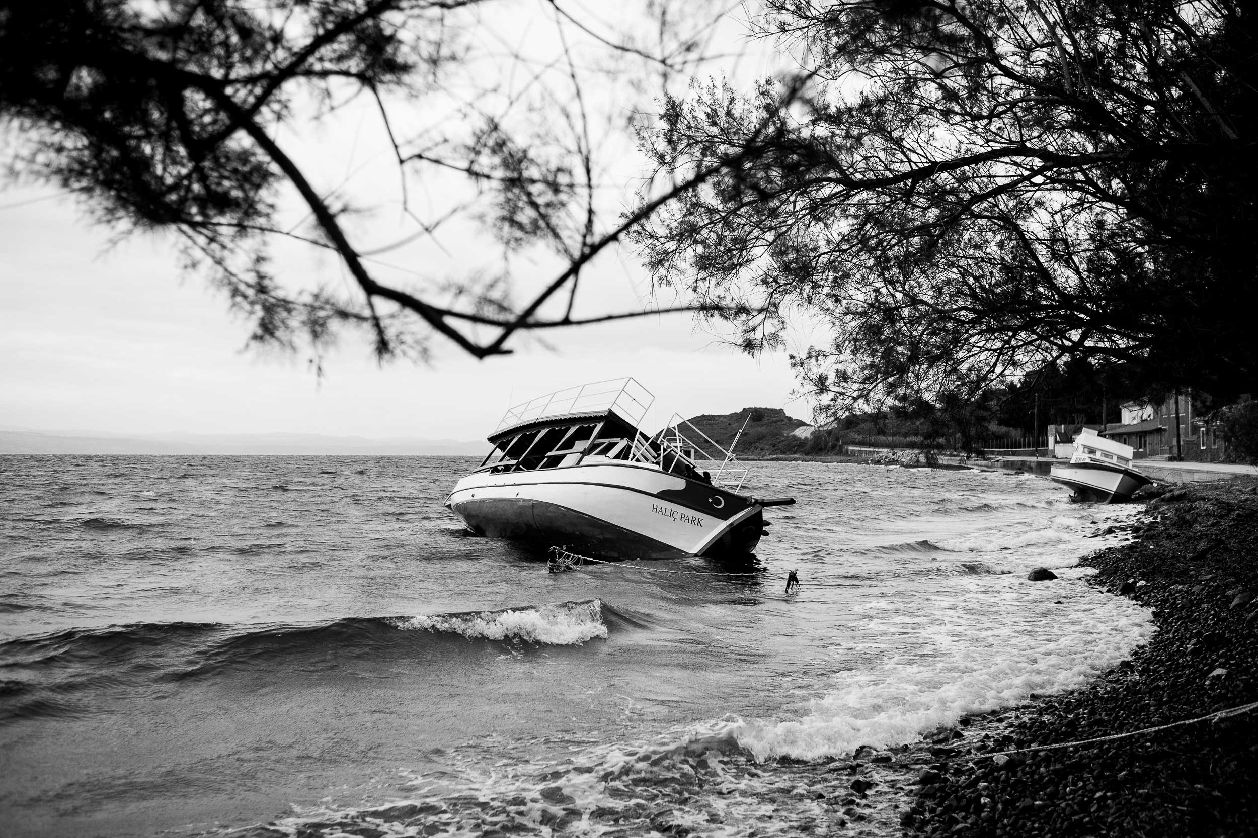 Landing, from Displaced: Stories from the Syrian Diaspora.