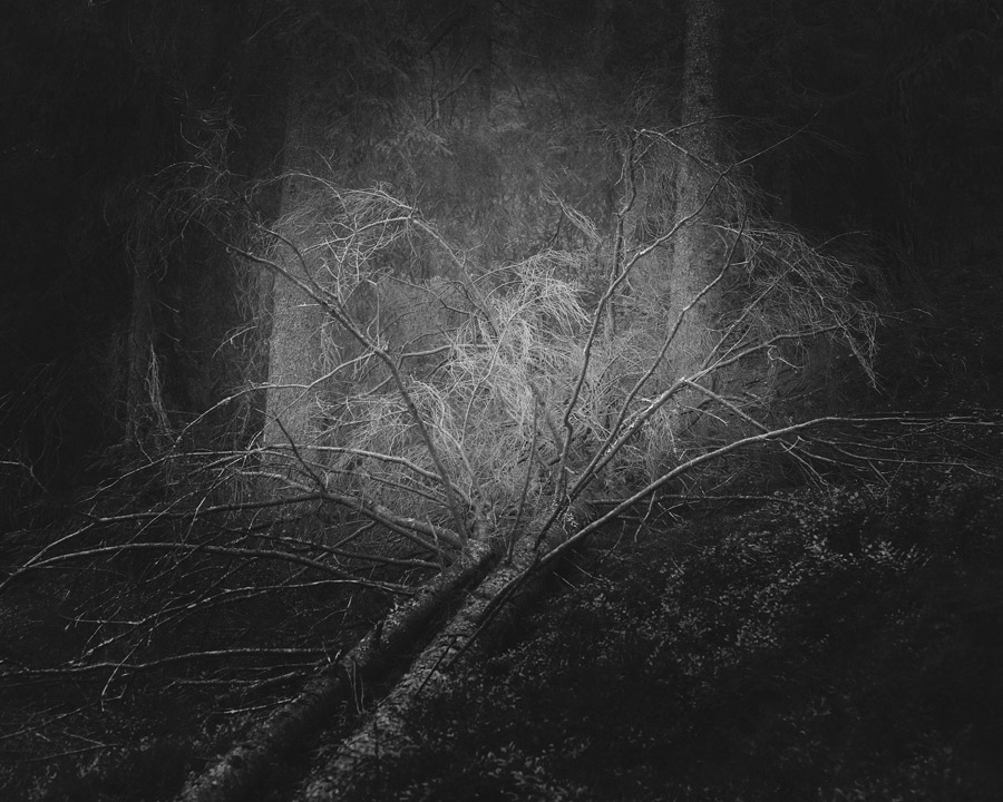 © Kristoffer Axen © Kristoffer Axen