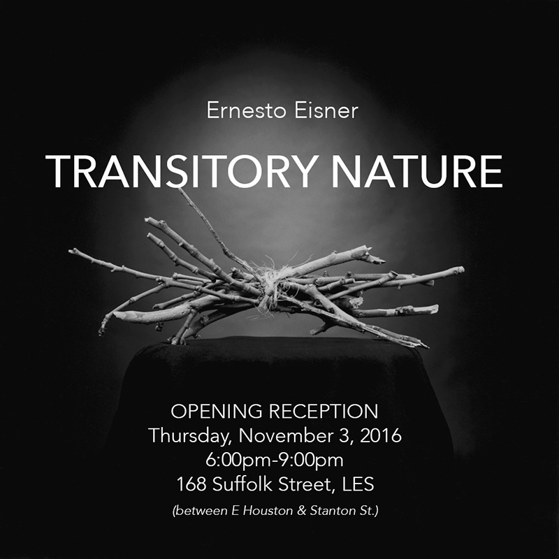 Transitory Nature Transitory Nature