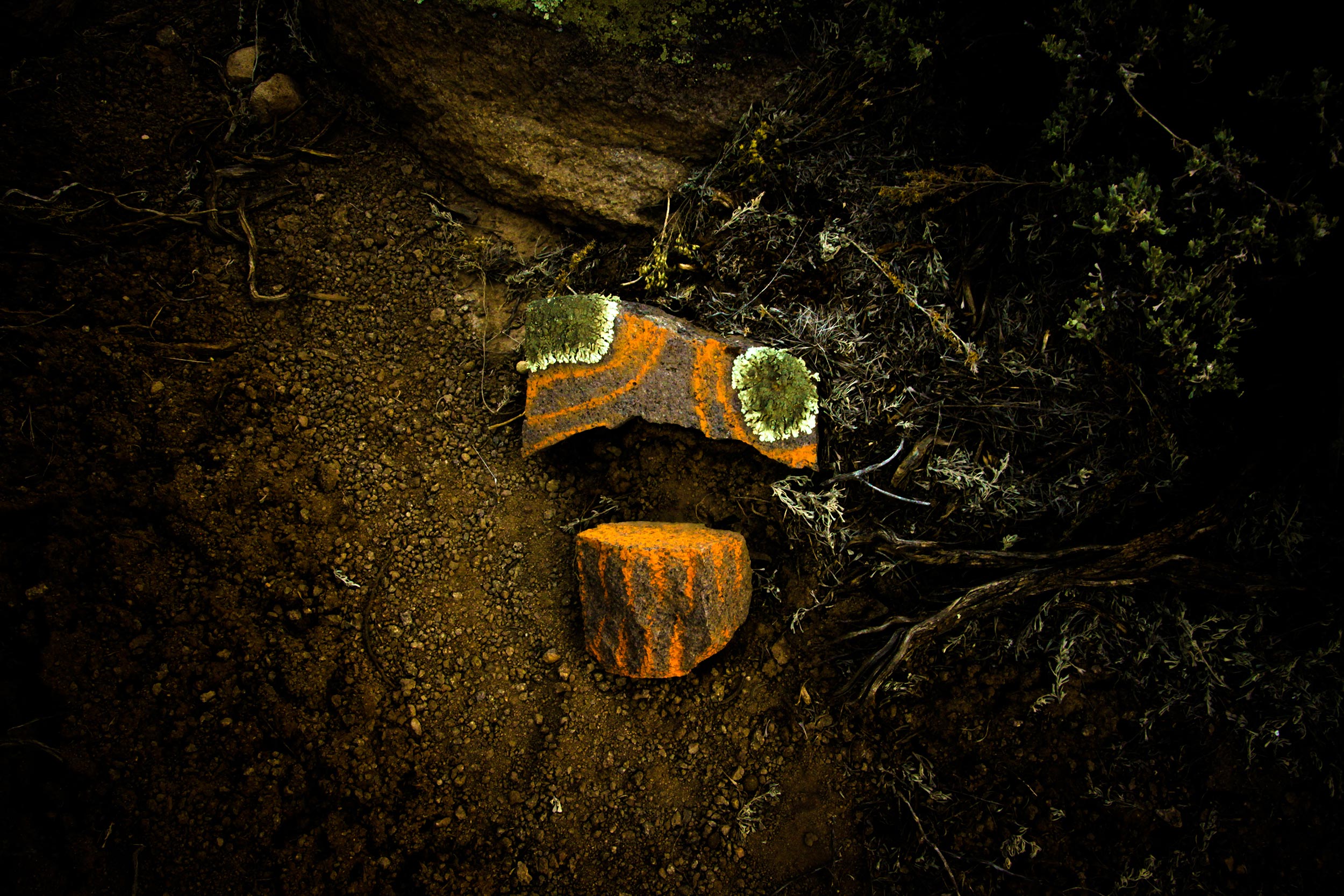© Jonathan Harris © Jonathan Harris