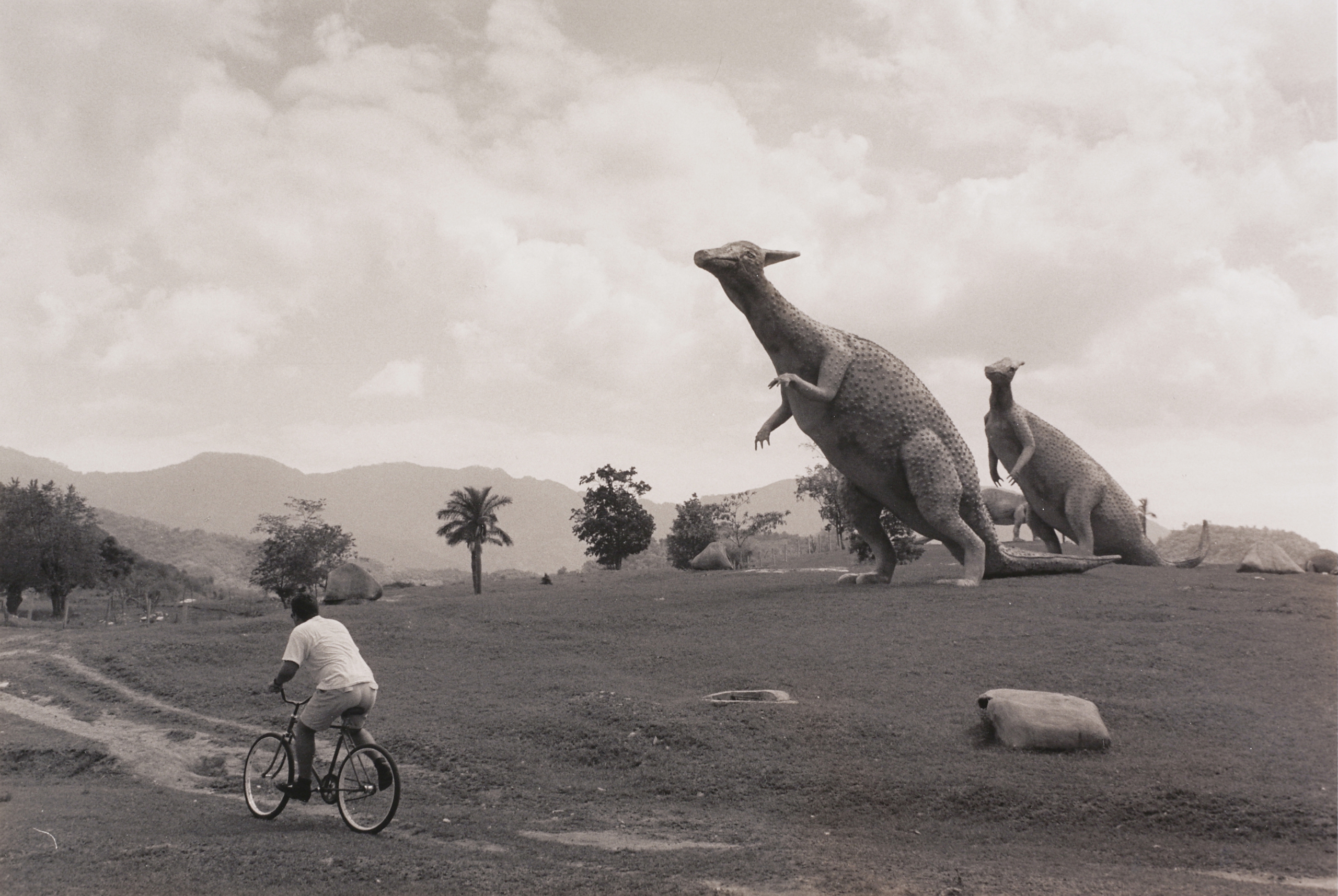 Tony Mendoza. Dinosaurs near Guantanamo Bay, from the Cuba: Going Back series, 1996. © Tony Mendoza. Collection of Lehigh University Art Galleries.