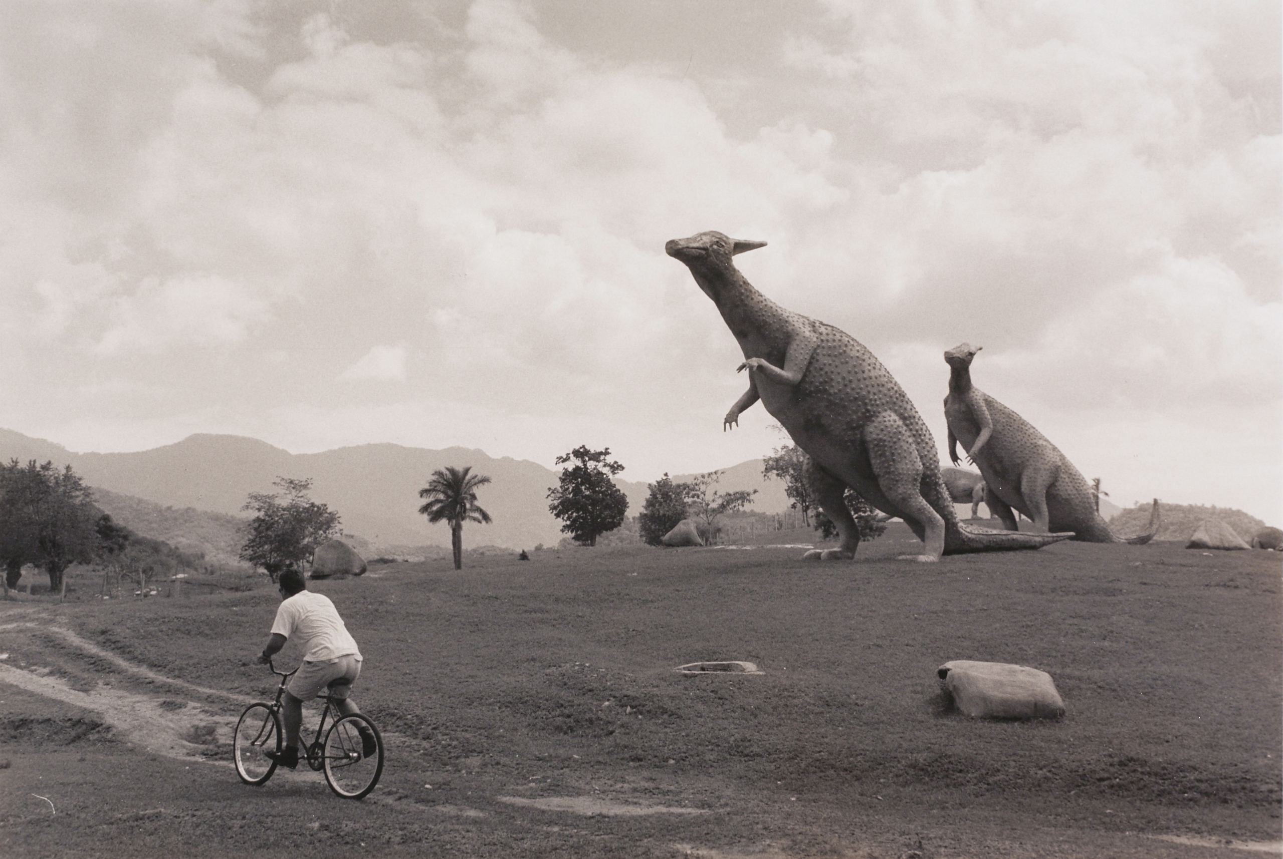 Tony Mendoza. Dinosaurs near Guantanamo Bay, from the Cuba: Going Back series, 1996. © Tony Mendoza. Collection of Lehigh University Art Galleries. Tony Mendoza. Dinosaurs near Guantanamo Bay, from the Cuba: Going Back series, 1996. © Tony Mendoza. Collection of Lehigh University Art Galleries.
