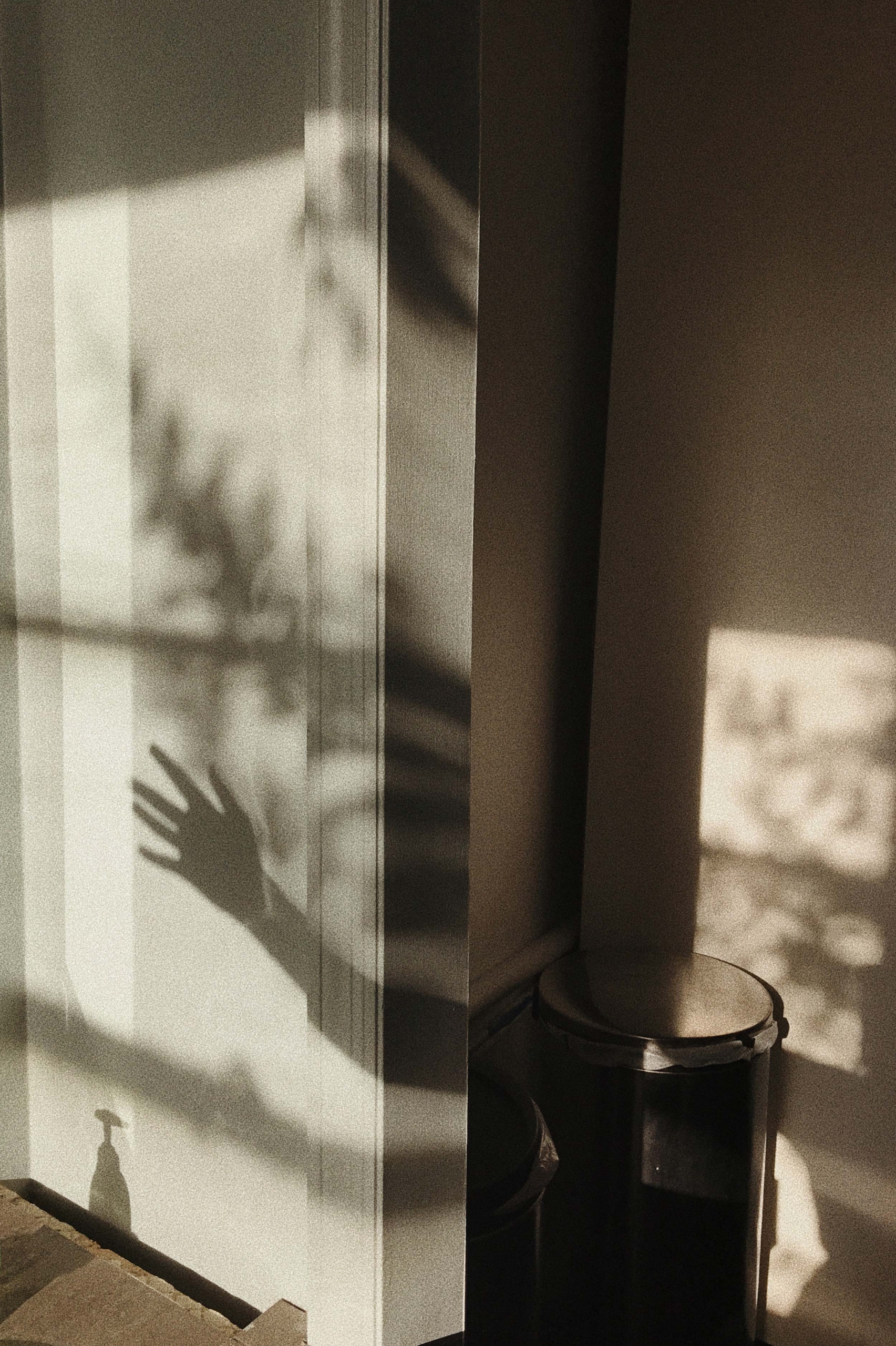 Image by Macey Bishop Image by Macey Bishop