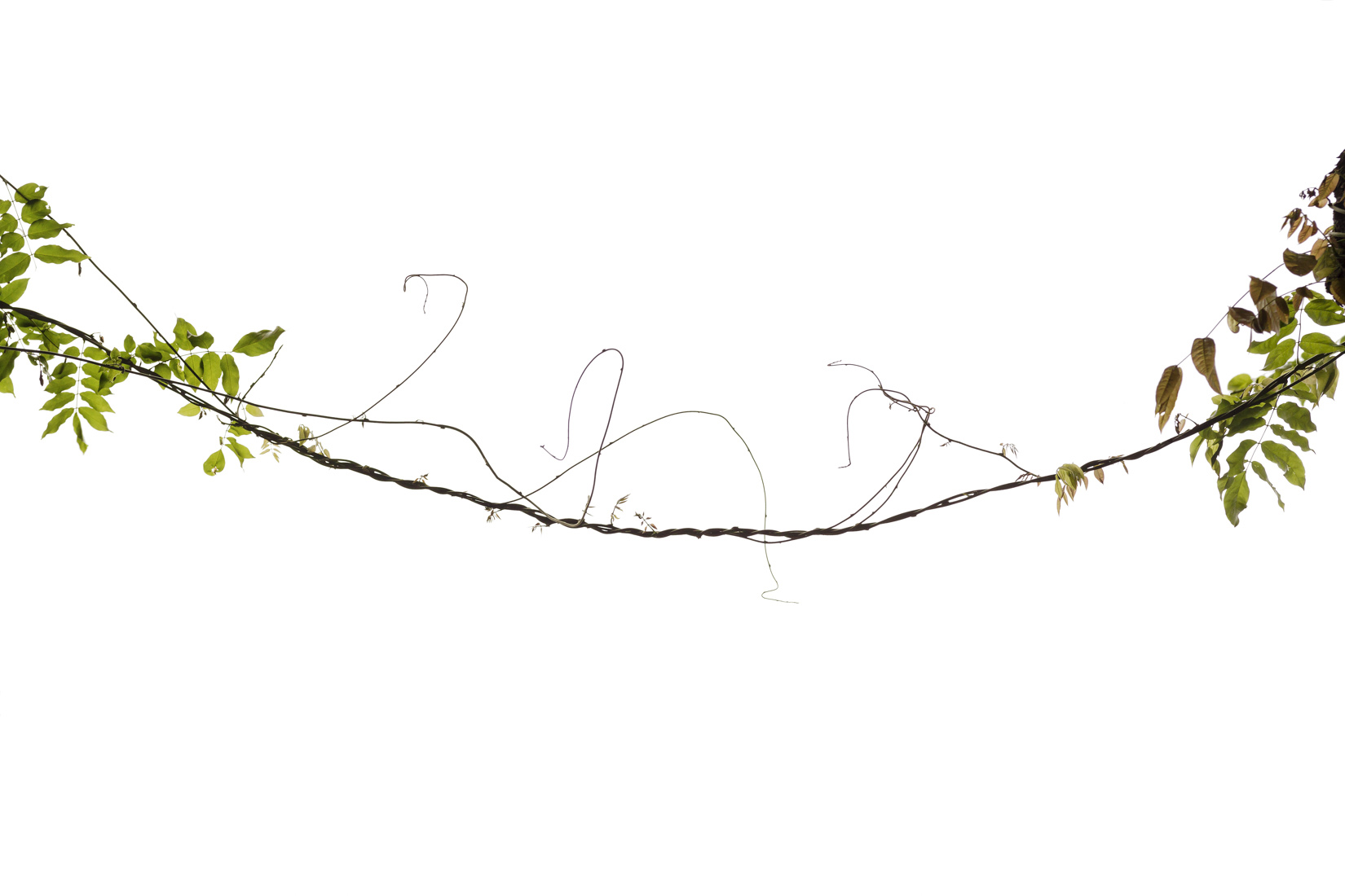 Erroi, Christian. 11-10-07-n°9707. 2015 Christian Erroi, 06-28-15-n°2596. 2015