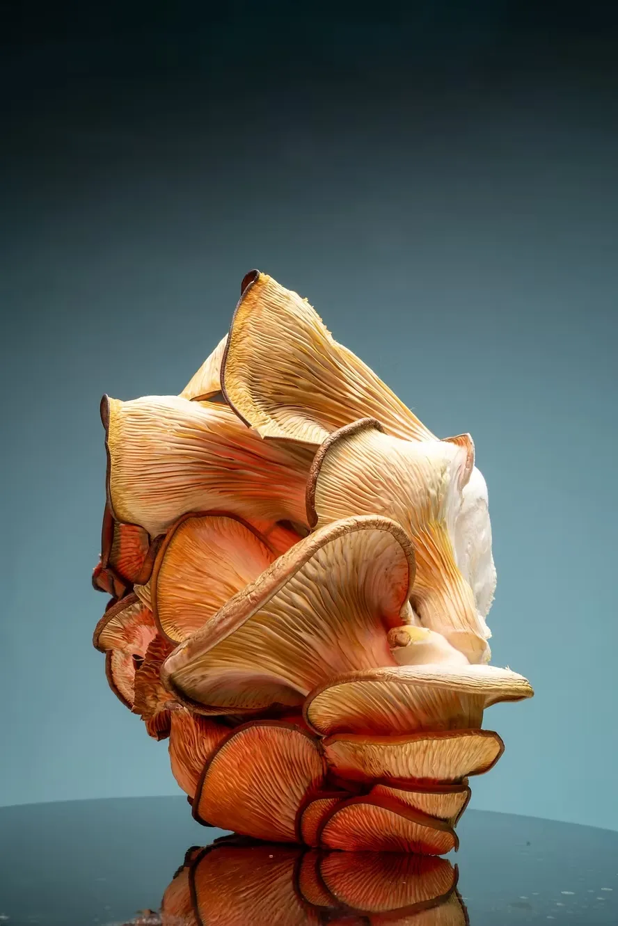 Tanya Navasiolava (CP '24)