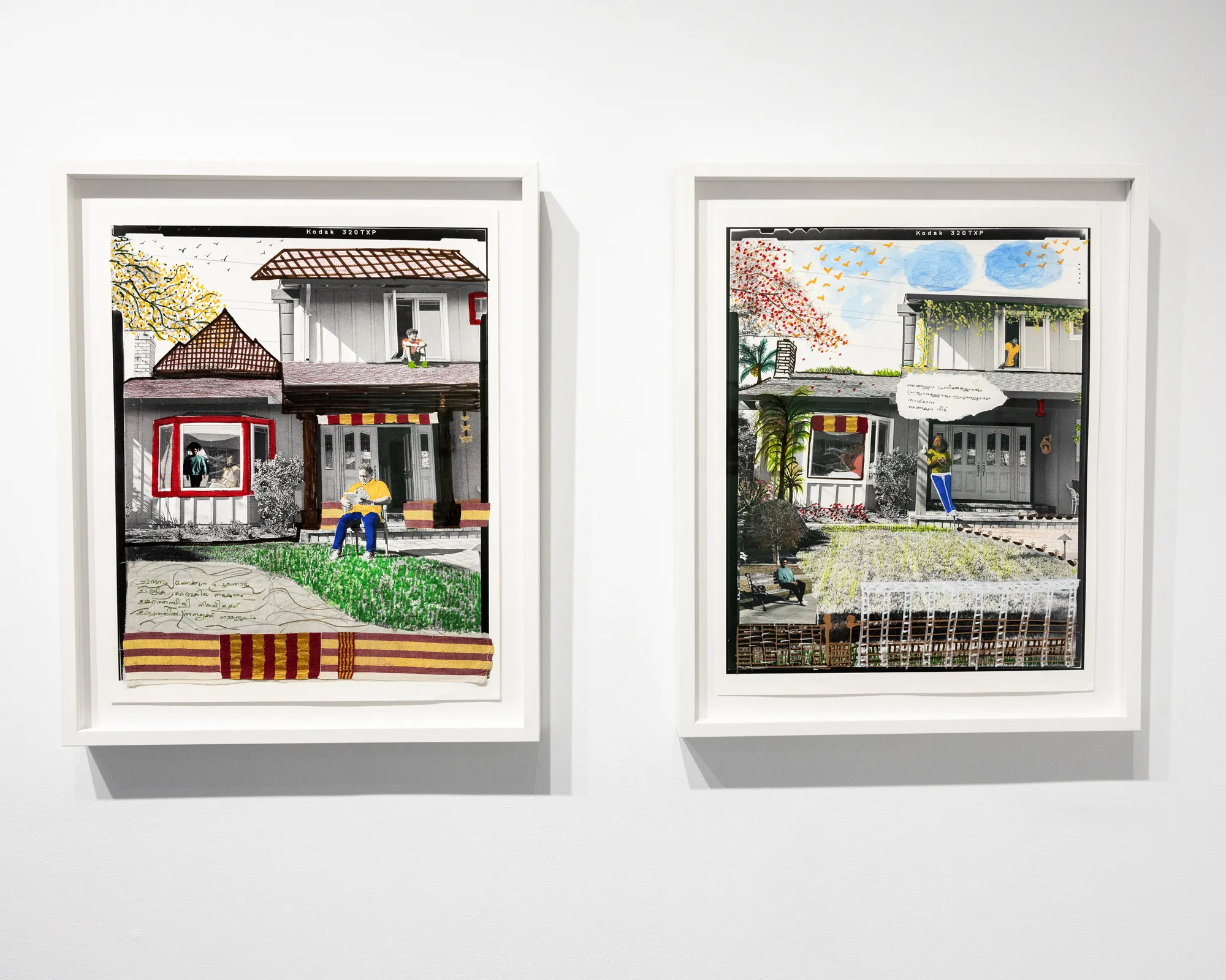 Ashima Yadava's Front Yard 