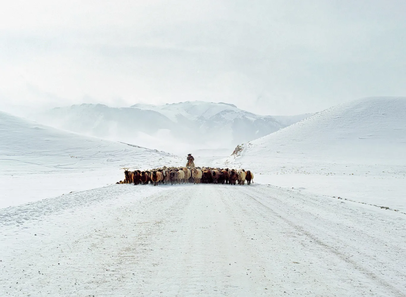 Shepherd, Tien Shan Mountains, January 2021. Luke Oppenheimer