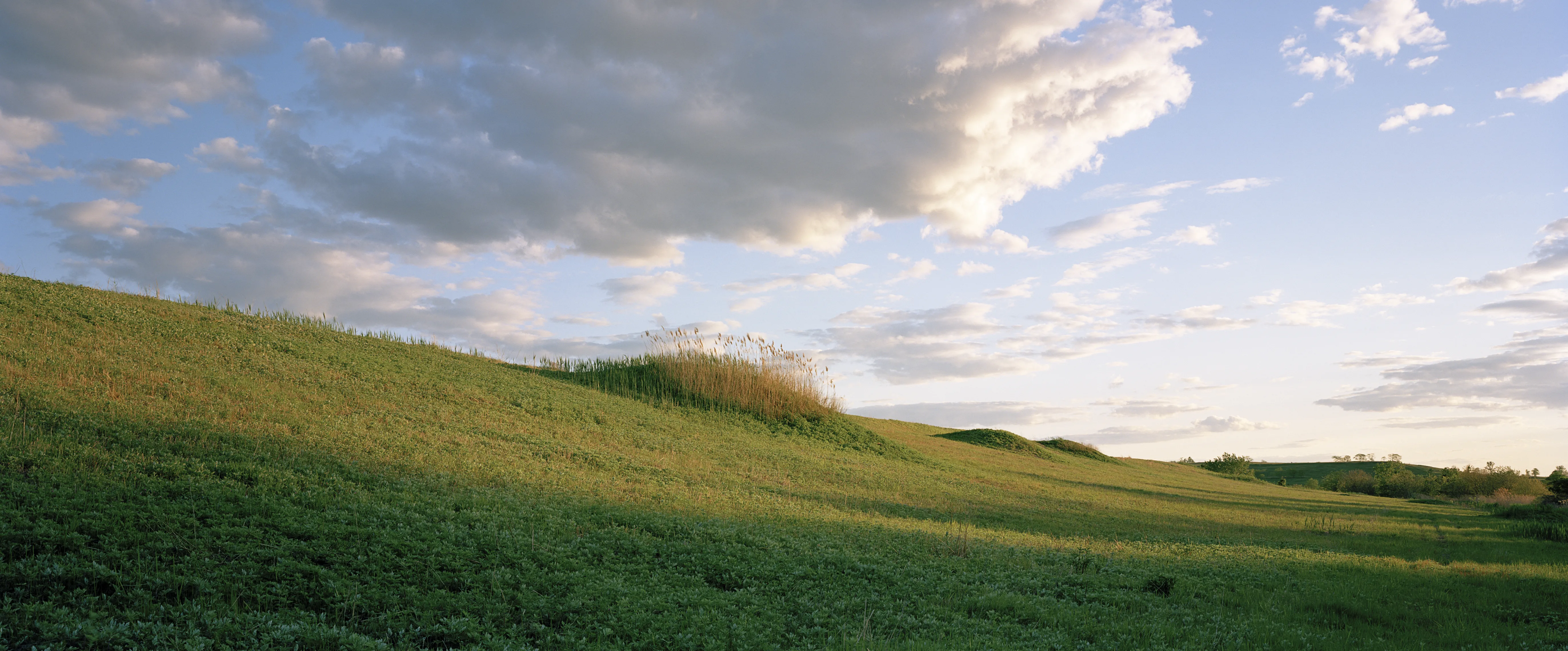 © Jade Doskow East Mound, Undulations (Our Sacred Mounds)
