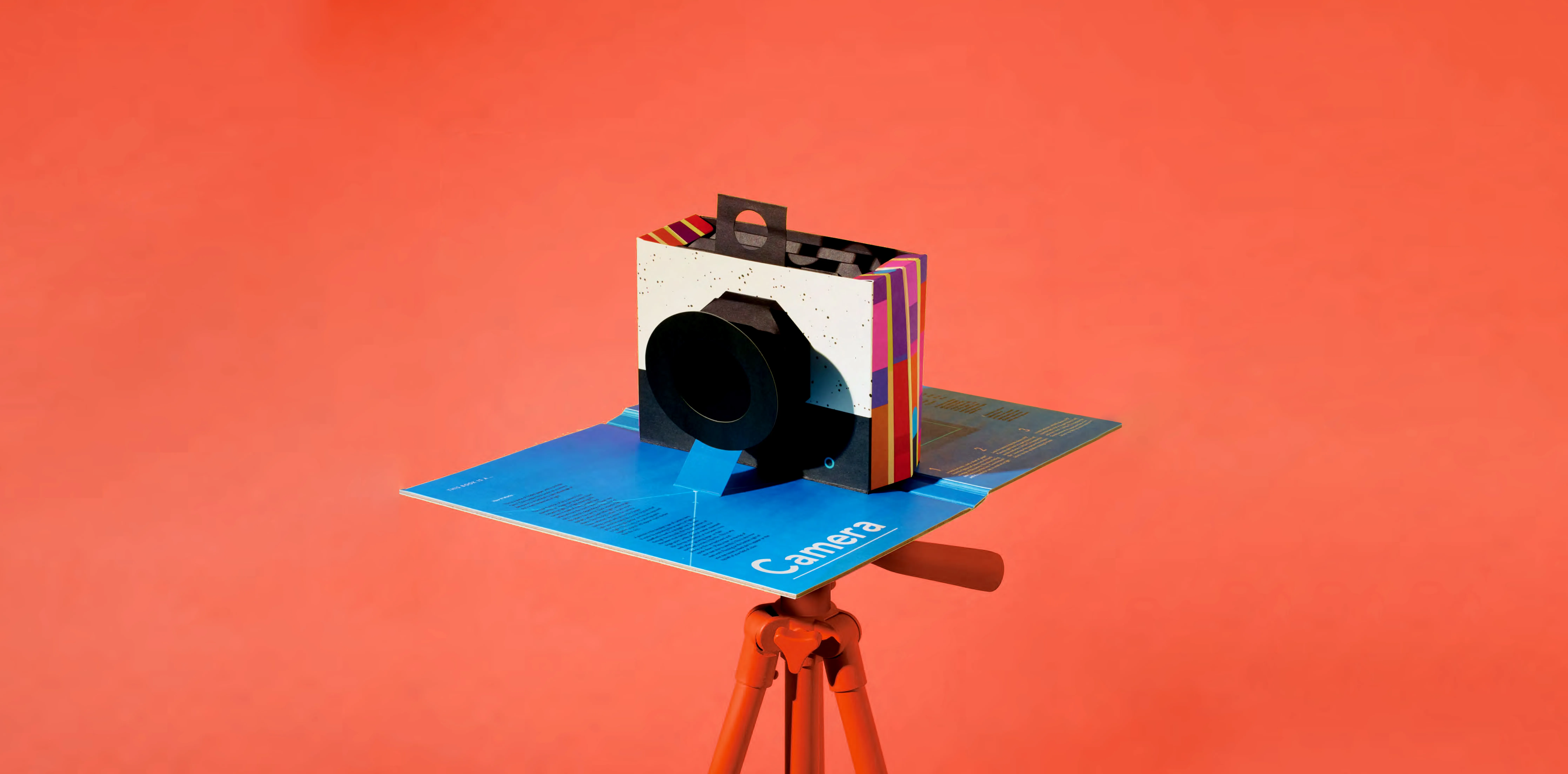 this book is a camera 2