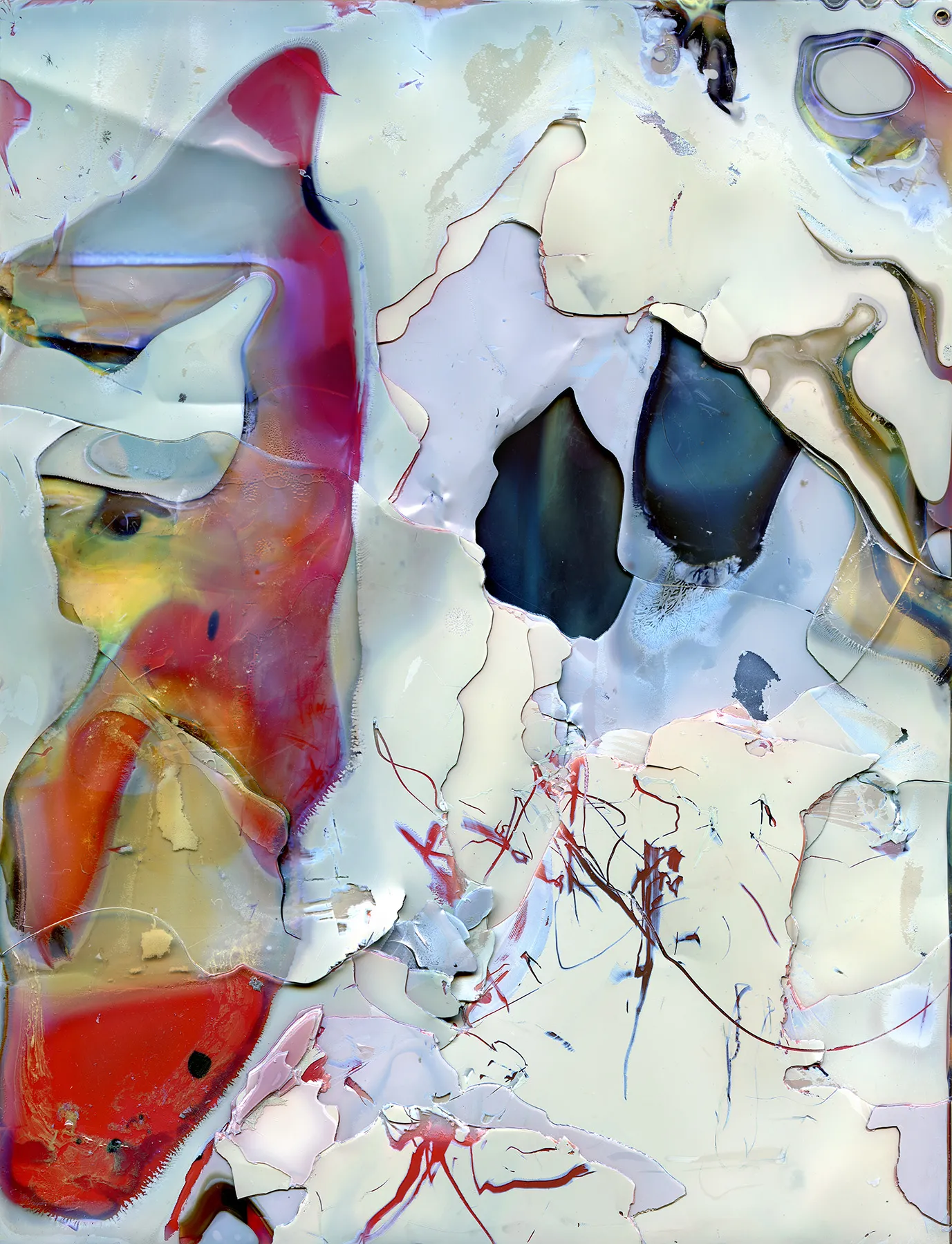 Daisuke Yokota: Color Photographs & Photobooks by Young