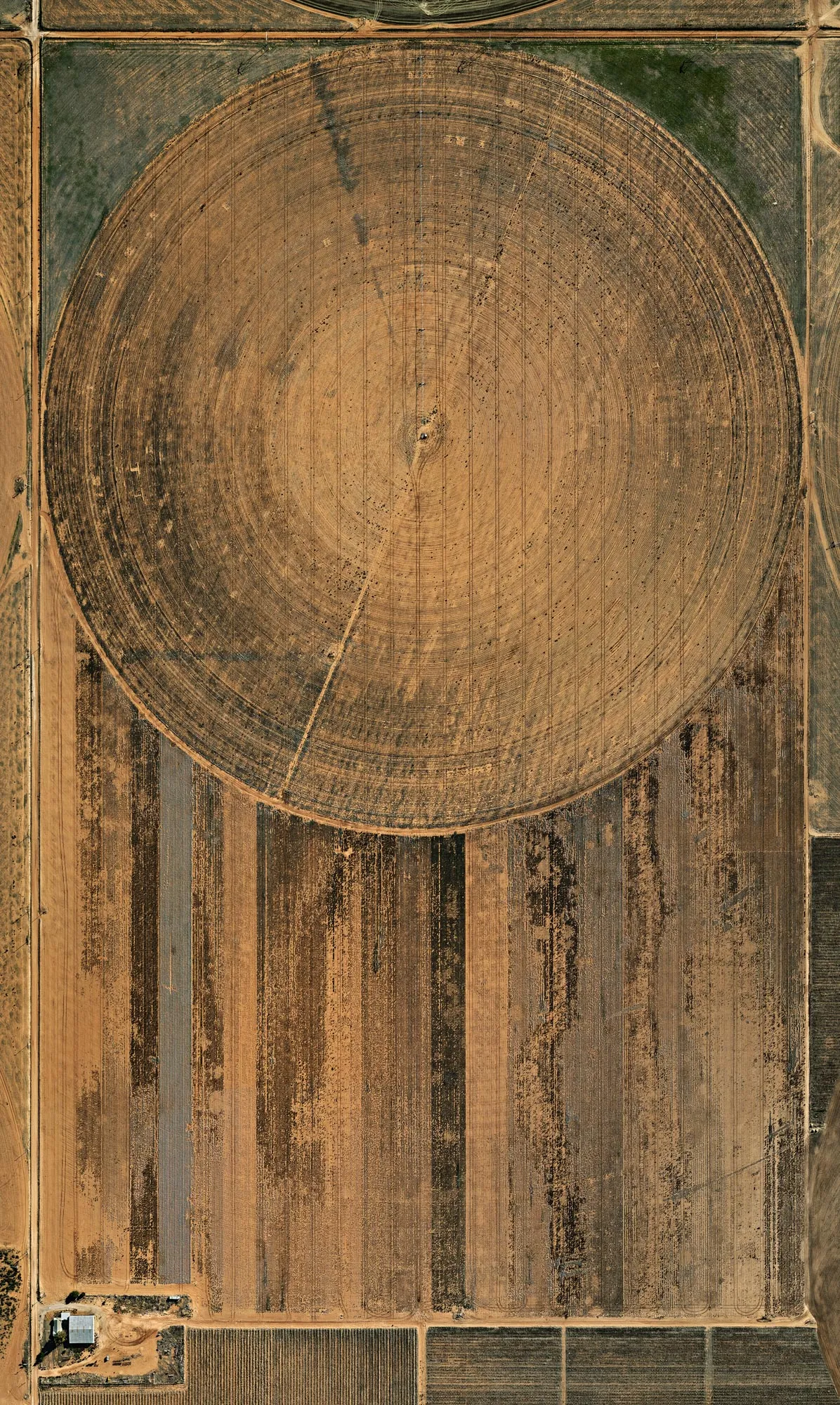 Pivot Irrigation #8, High Plains, Texas Panhandle, USA, 2012