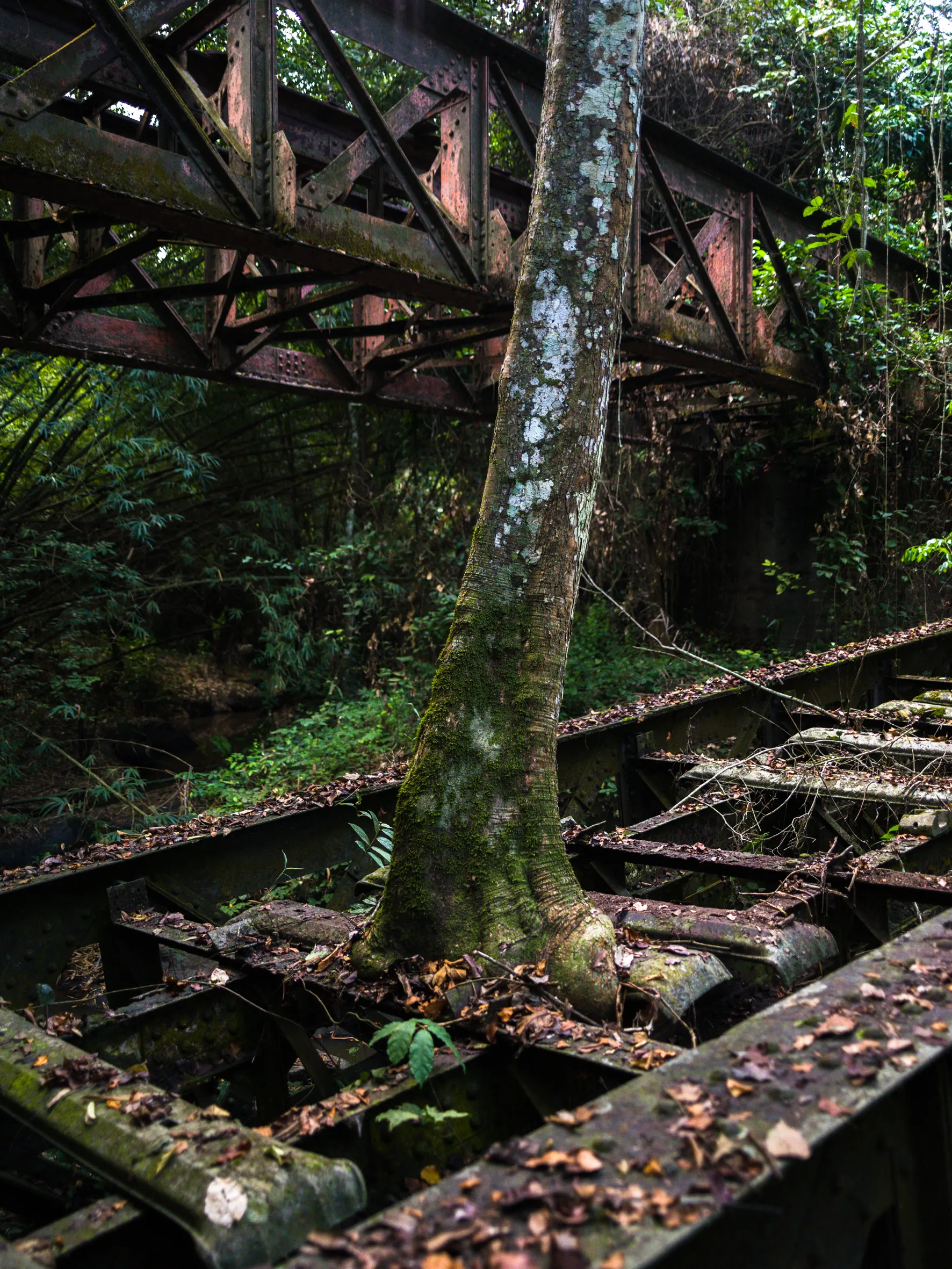 François-Xavier Gbré, Rubino, from the series Radio Ballast, 2024 © François-Xavier Gbré,  ADAGP, Paris, 2025