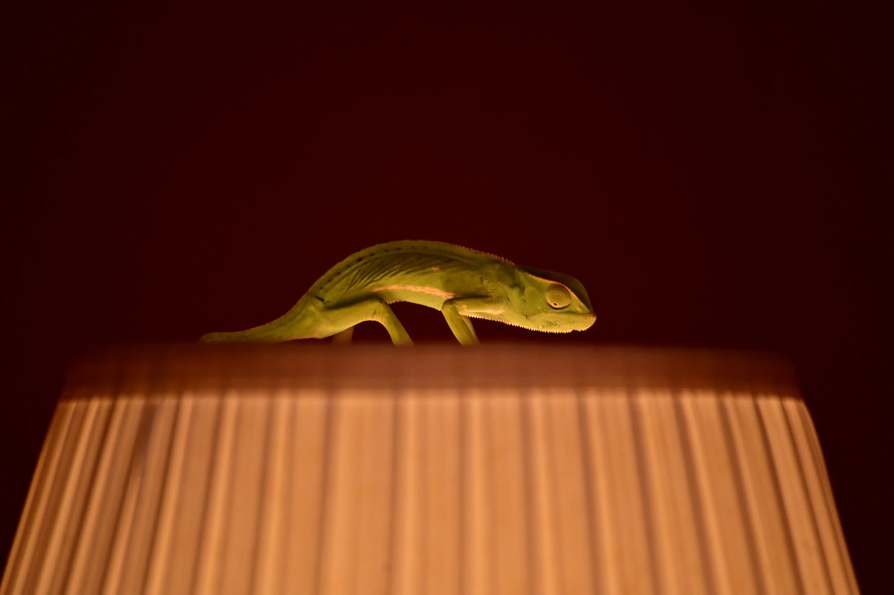 Nuits Balnéaires, Le Messager 17, from the series Eboro, 2025 © Nuits Balnéaires