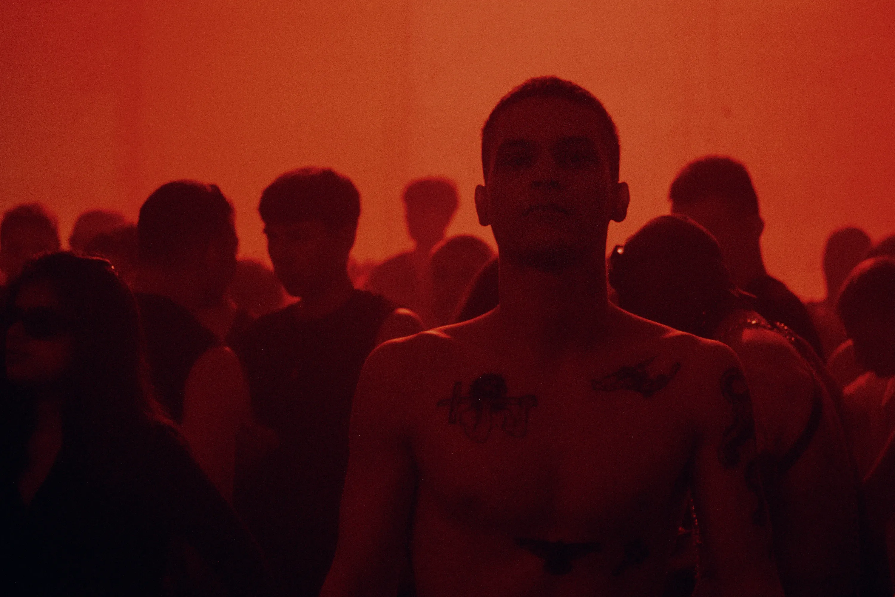 Image: Dara Petrova, DOC Online '25