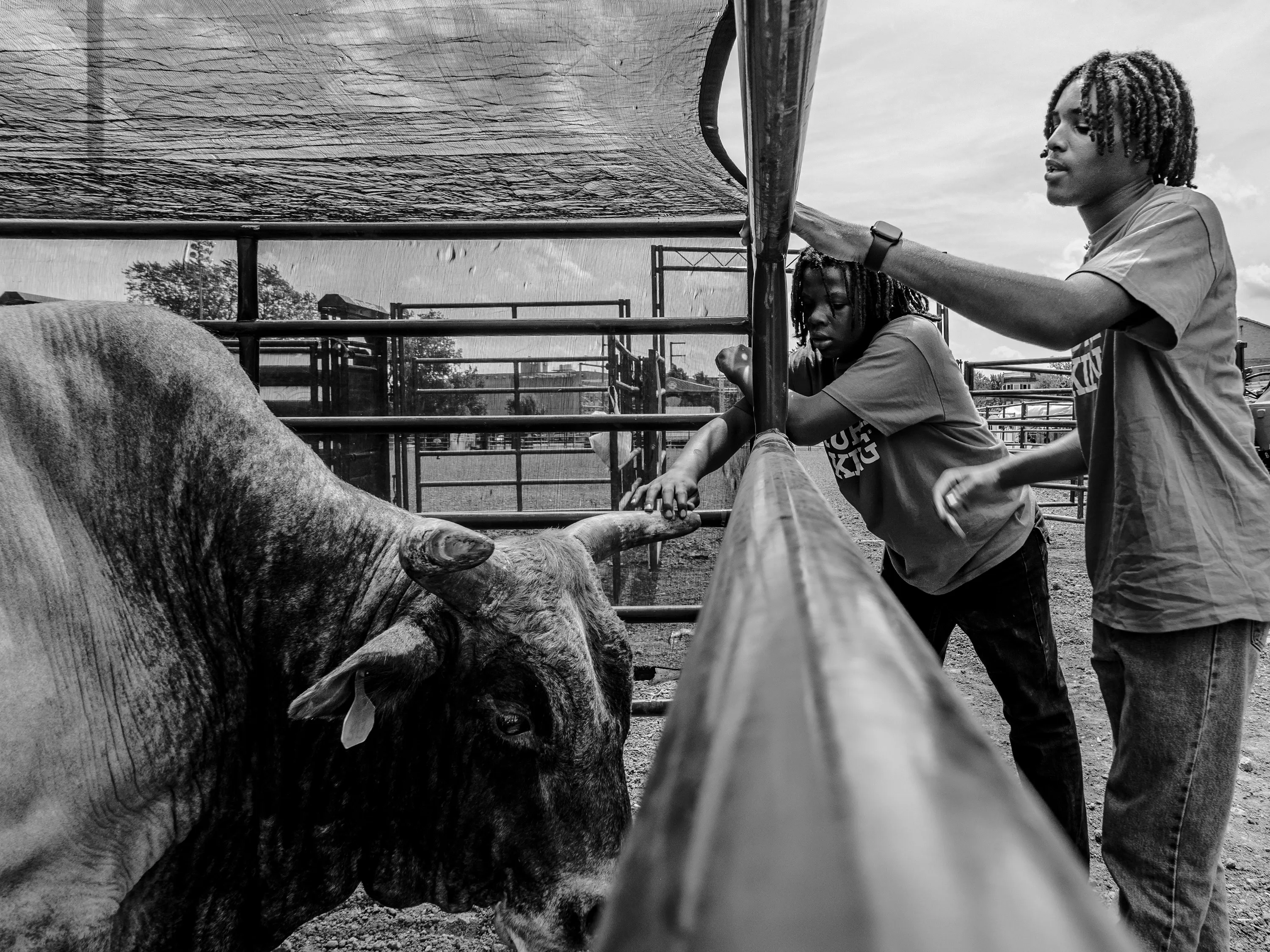 Image: Eli Williamson, DOC Online '25