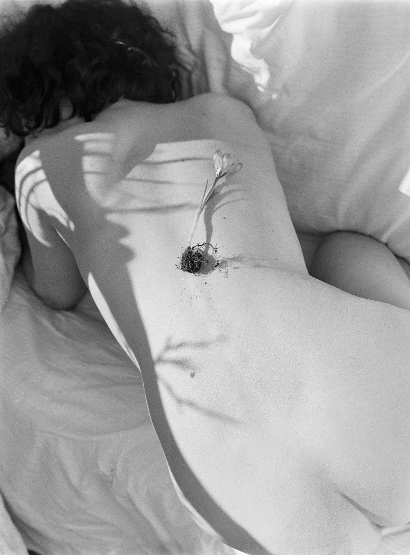 Teo Apostolescu, In the Stairwell Lives My Mother’s Perfume, 2026. © Teo Apostolescu 