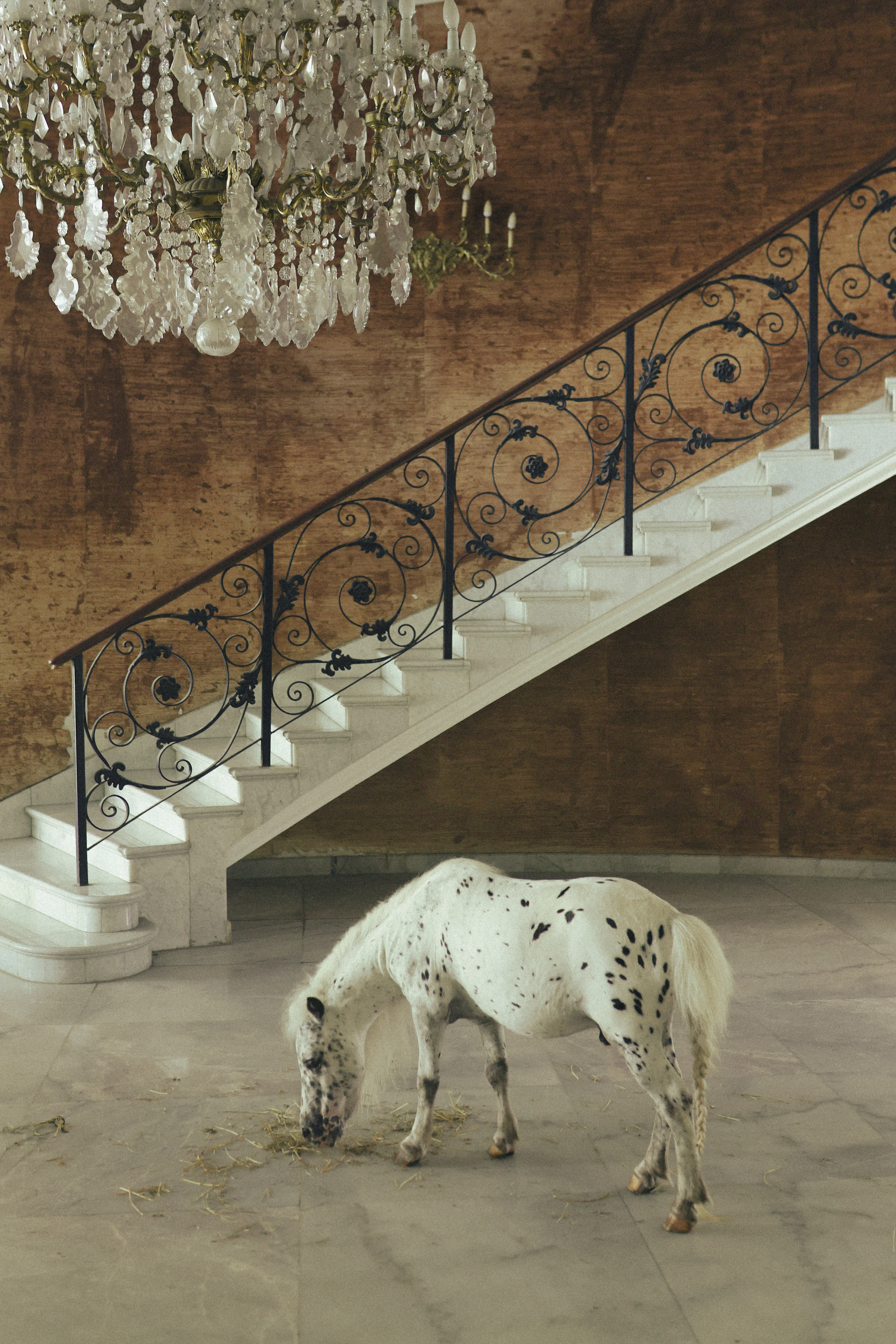 Paola Boyance, The Dollhouse, 2025–2026. © Paola Boyance 