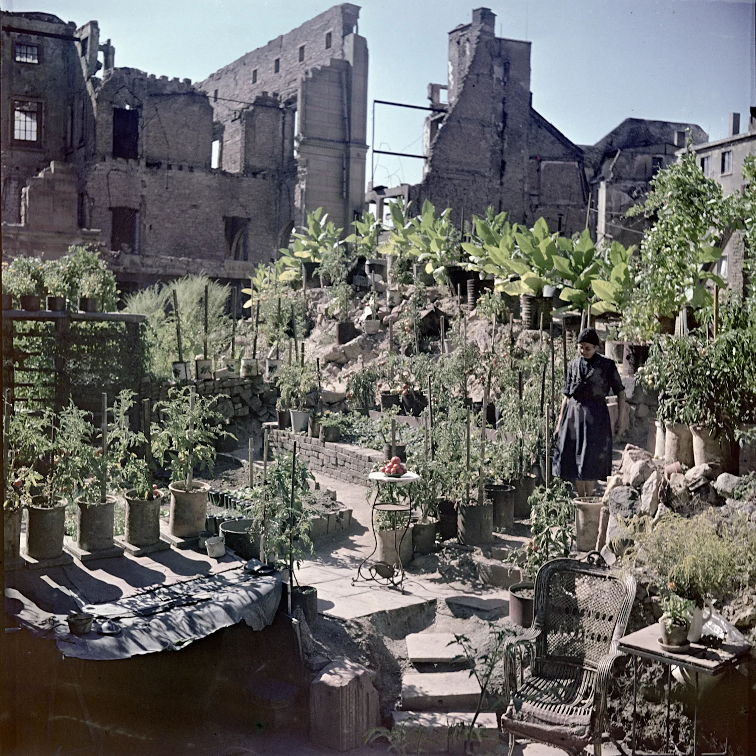 A person surrounded by plants.