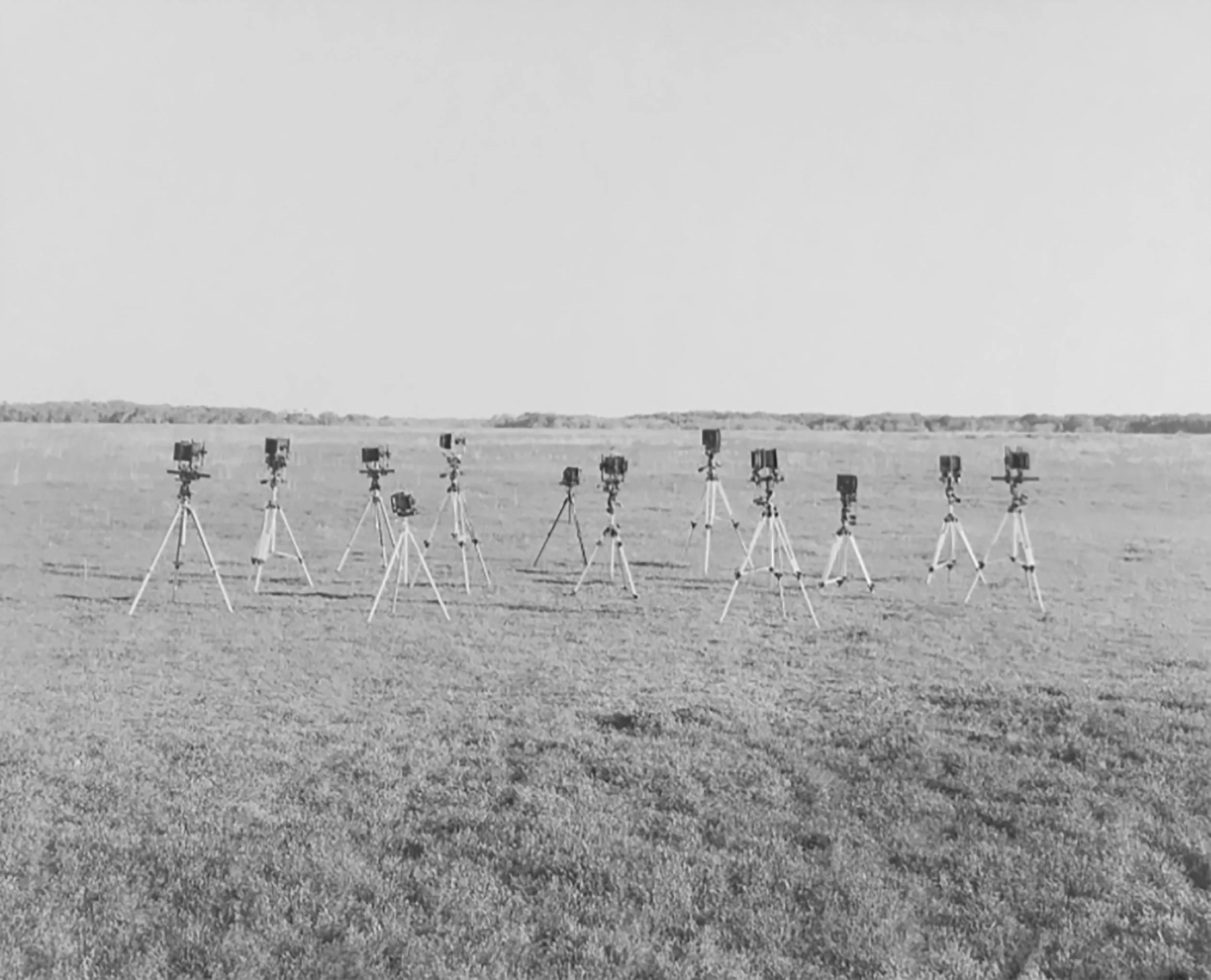 A photograph of antique cameras.