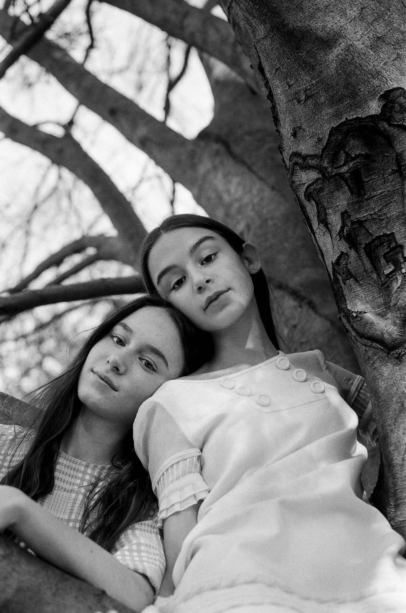 Two girls on a tree.