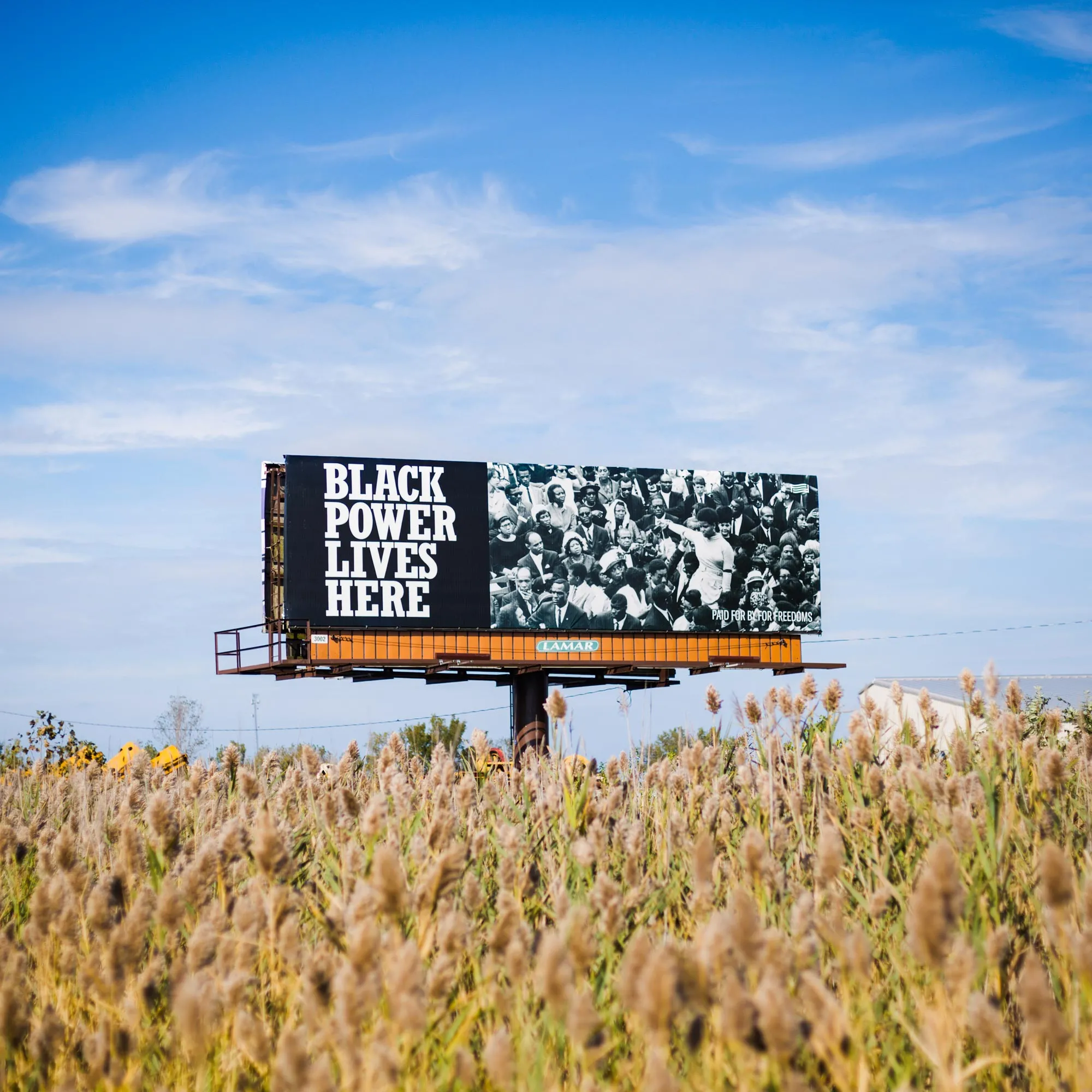 A billboard saying "Black Power Lives Here" rising above of field of wheat.