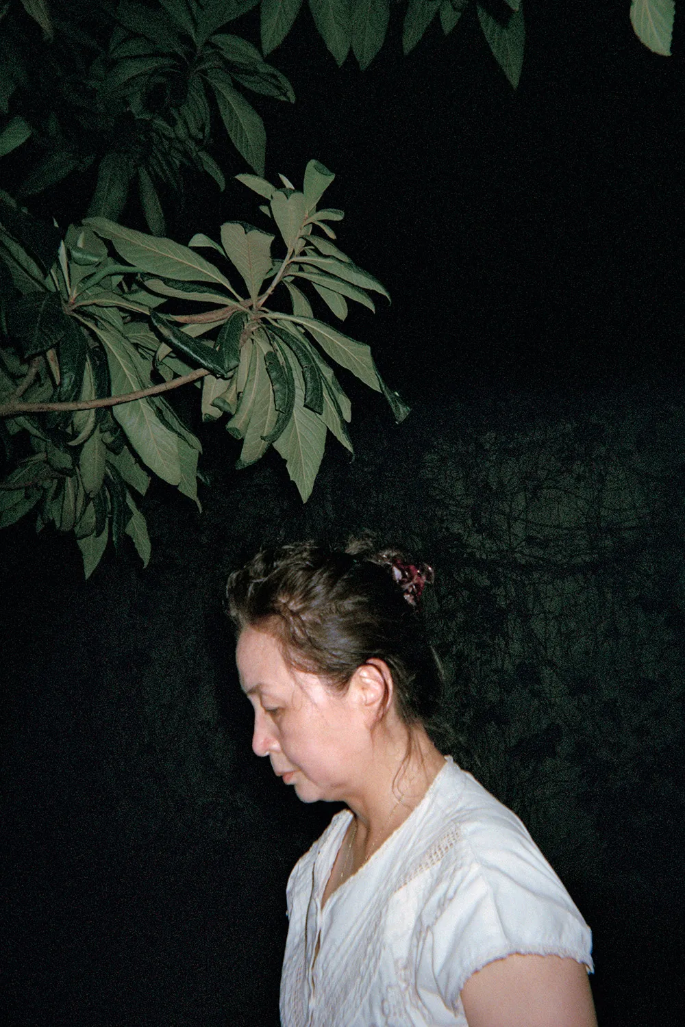Woman in the woods illuminated by a light looking at the ground. 