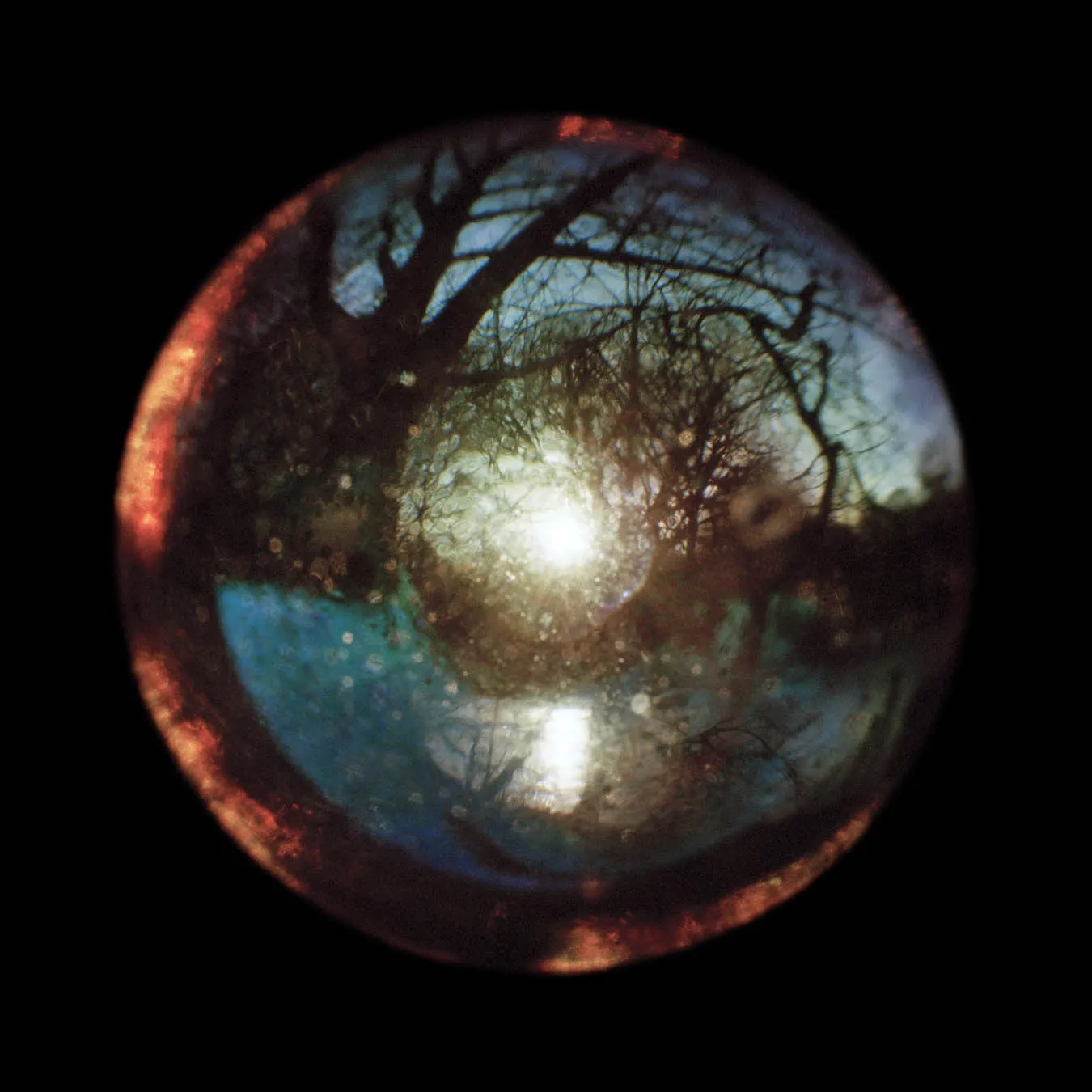 A painting of nature inside a water droplet.