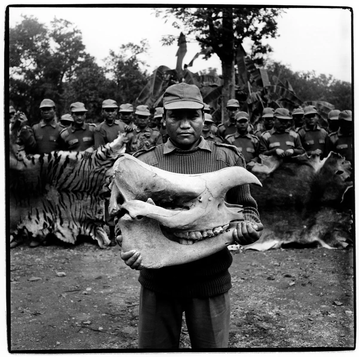 A man holding a rhino skull.