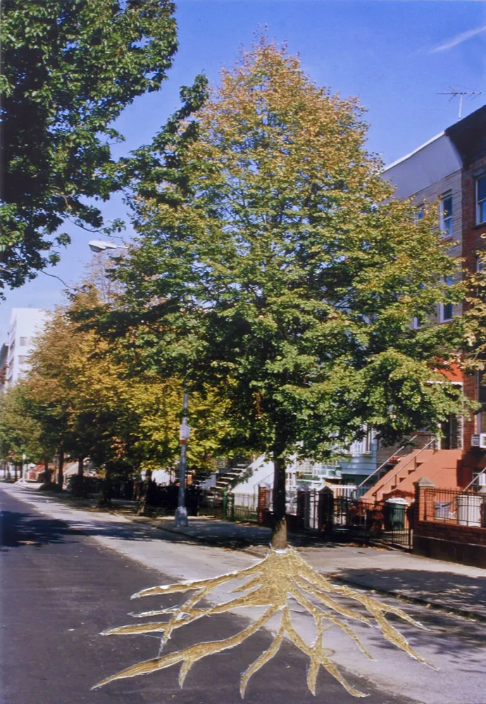 A picture of a tree outside.