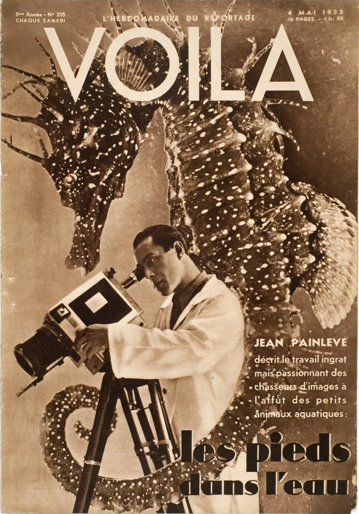 Twilight Visions: Surrealism, Photography, and Paris