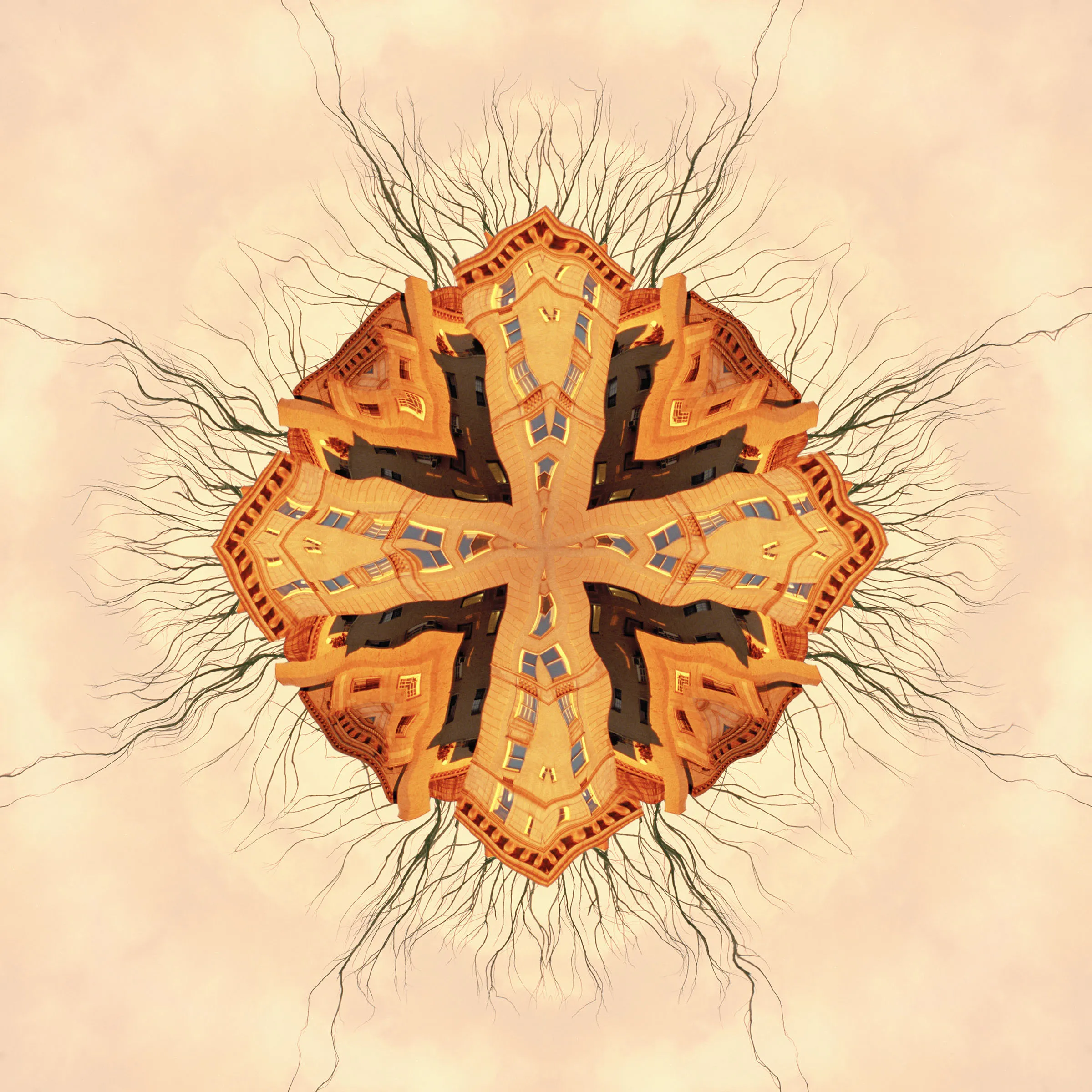 Kaleidoscoped image