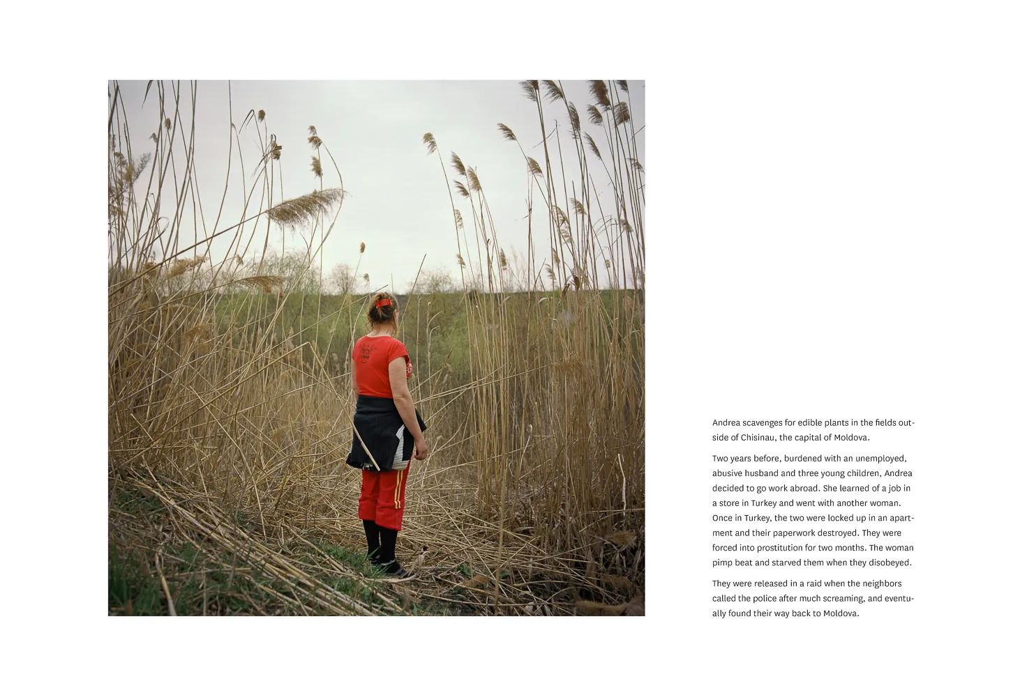 Image of a women standing in a wheat field with an expert next to it