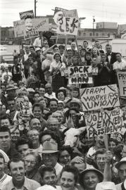 Black and white photograph of crowd of people holding signs at a rally