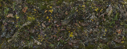 Picture of a grass floor.