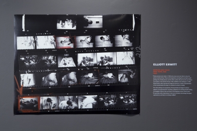 A photography exhibit at ICP of Elliot Erwitt. 