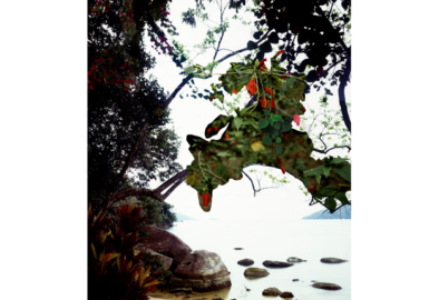 Abstract art of a beach view