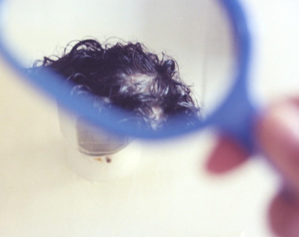 Someone looking at the top of their head with a mirror.