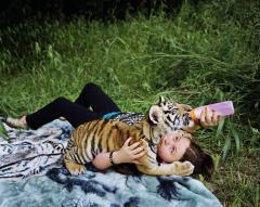 A child playing with a baby tiger.