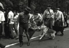 Dog biting man's pants during civil rights movement