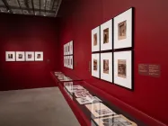 Image: Jenna Bascom for ICP