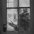 Anne Berry Monkey at Door