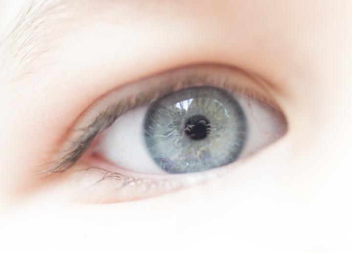 A close up of a light blue eye.